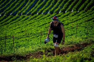 BIB: 
                            <button type="button" onclick="openModal(19160676)" class="btn btn-primary btn-sm float-right btn-popup" data-toggle="modal" data-target=".modal-high-quality">
                        <i class="fas fa-shopping-cart"></i> Add to Cart
                    </button>
                                            <button type="button" onclick="isThisMe(19160676, true)" class="btn btn-success btn-sm float-right btn-popup btn-isme hidden" data-toggle="tooltip" data-placement="bottom" title="นี่คือรูปของคุณใช่ไหม คลิกที่นี่เพื่อเอาเข้าอัลบั้ม">
                        <i class="fas fa-plus"></i> Add to album
                    </button>
                    <button type="button" onclick="isThisMe(19160676, false)" class="btn btn-warning btn-sm float-right btn-popup btn-isnotme hidden">
                        <i class="fas fa-ban"></i> Remove from album
                    </button>